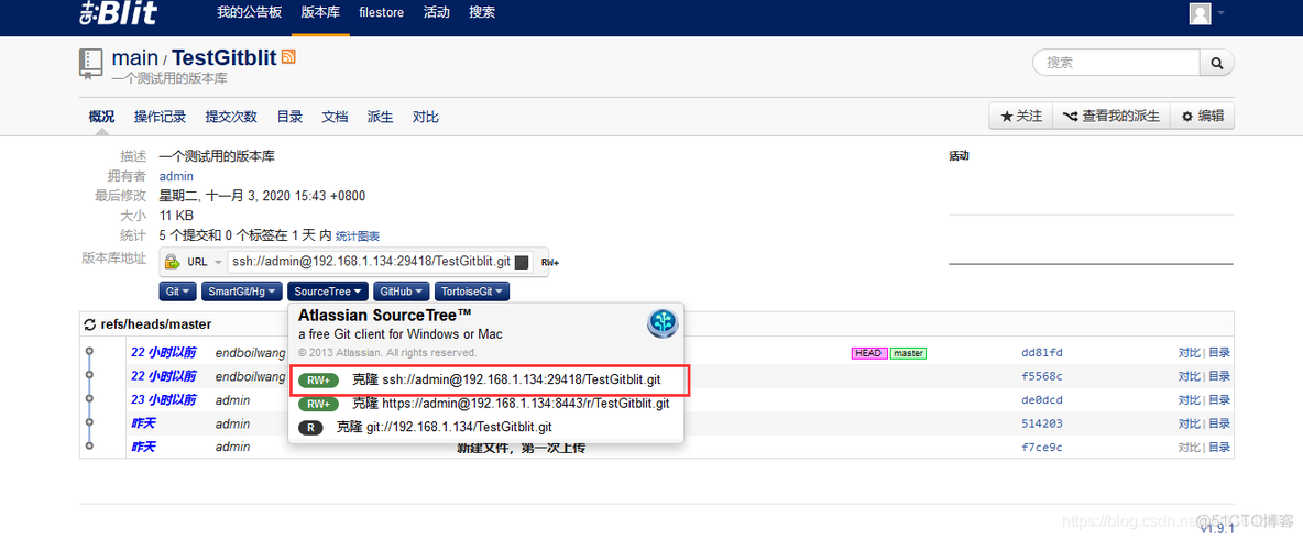 怎么搭建局域网git仓库 windows搭建局域网git_sourcetree_38