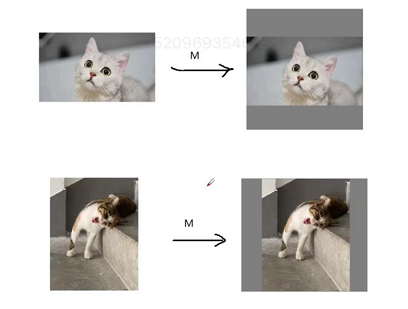 核显能加速pytorch 核显cuda加速_数据