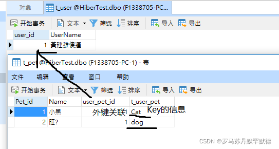 java jpa往doris里面写入数据 jpa in list,java jpa往doris里面写入数据 jpa in list_一对多_04,第4张