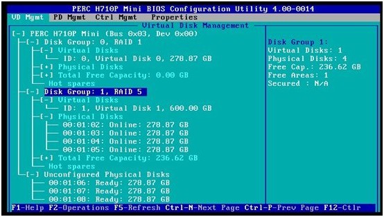 戴尔服务器bios查看阵列卡 戴尔服务器配置阵列卡_虚拟磁盘_76