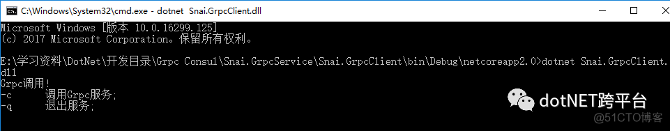 grpc 注册 grpc 服务注册 发现_.net_49