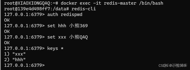 docker 拉出来 docker radius_容器_13