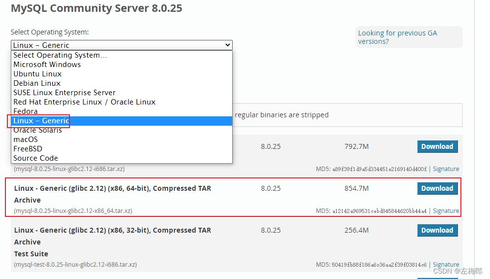 MySQL 2024下载安装 mysql8.0.25下载安装教程_linux_04