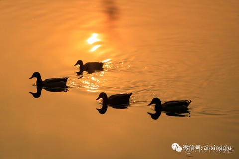 多核MCU架构 多核处理器原理_寄存器_02