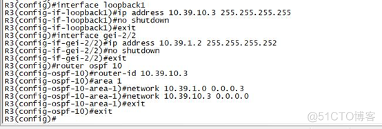 ospf开启STUB ospf stub区域配置_ospf开启STUB_06