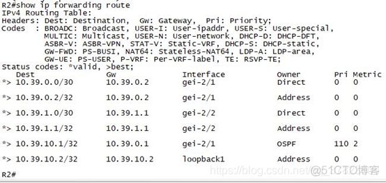 ospf开启STUB ospf stub区域配置_OSPF_08