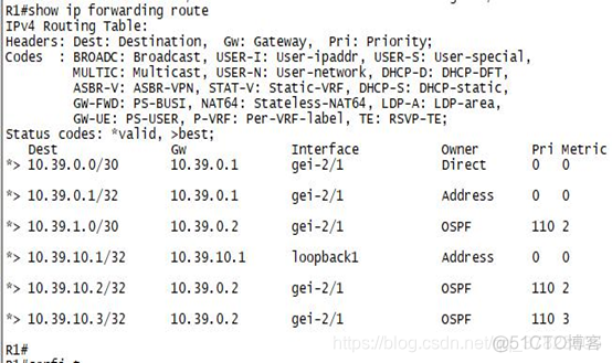 ospf开启STUB ospf stub区域配置_OSPF_10