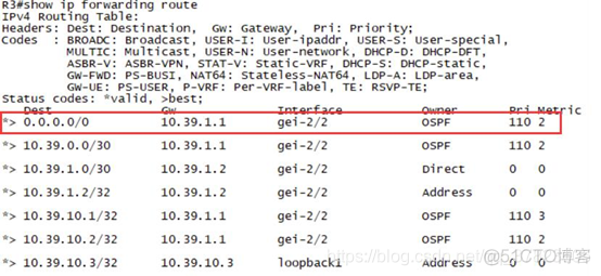 ospf开启STUB ospf stub区域配置_OSPF_14