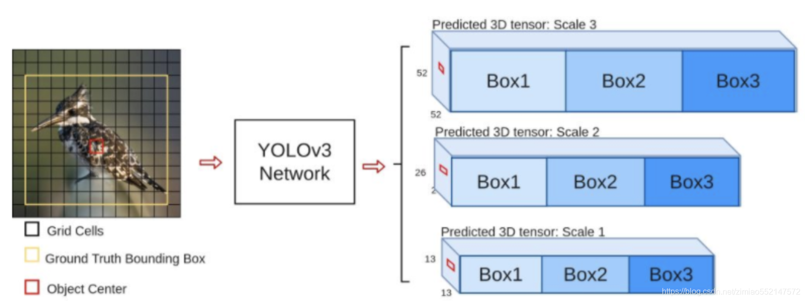 3DCNN模型和yolo yolov3模型_ide_02