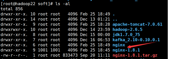 centos nginx 查看端口 nginx端口在哪看_服务器_10