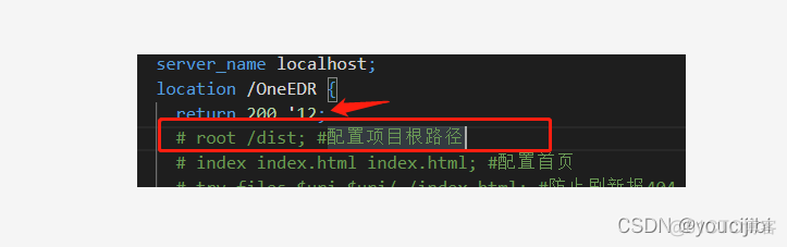 nginx的root配置绝对路径 nginx root location_p2p