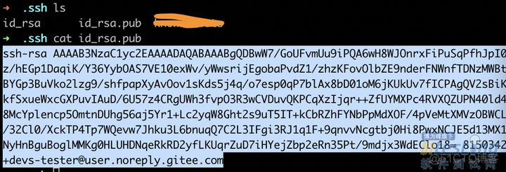 mac查找git公钥 git获取公钥_推送_06