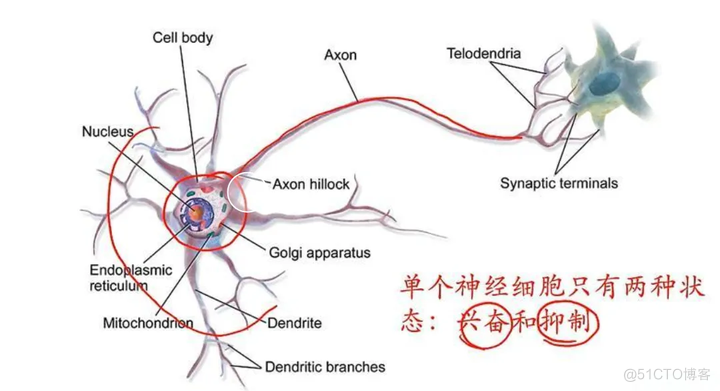 算法金 | 通透！！十大回归算法模型最强总结_人工智能_27