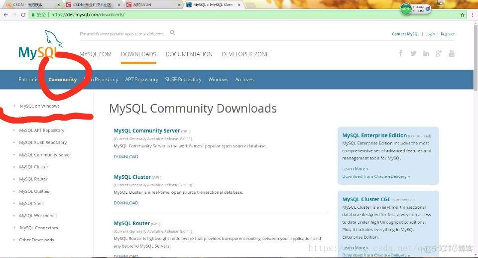 点击Community -> MySQL  on Windows