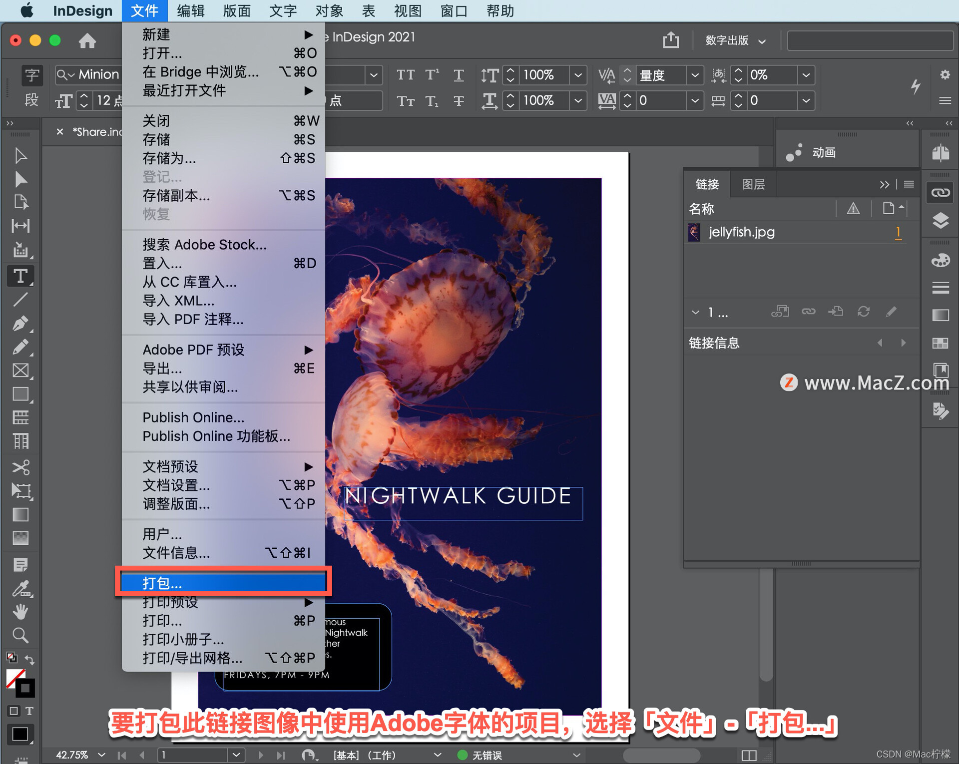 indesign现有脚本如何使用 indesign自带脚本_Adobe_03