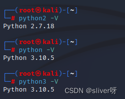 kali有Python kali有python环境吗_python_05