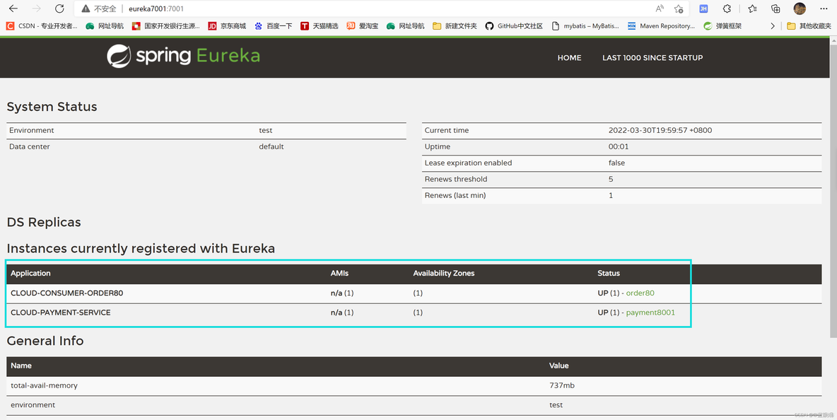 springcloud gateway需要注册eureka吗 springcloud服务注册中心eureka_java_08