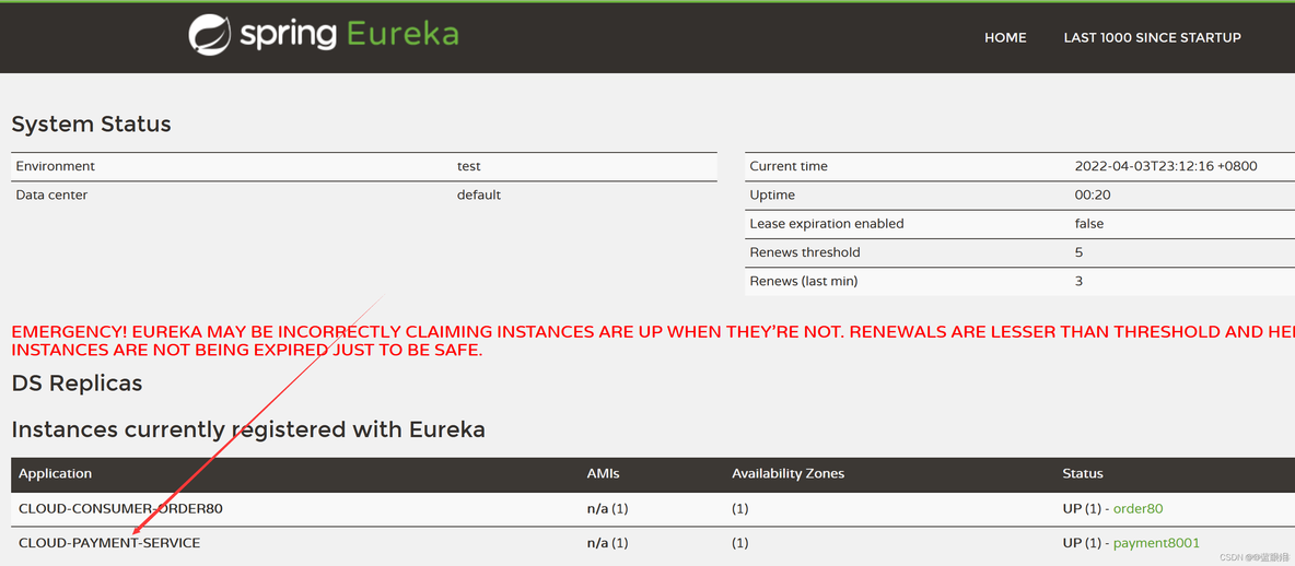 springcloud gateway需要注册eureka吗 springcloud服务注册中心eureka_后端_14