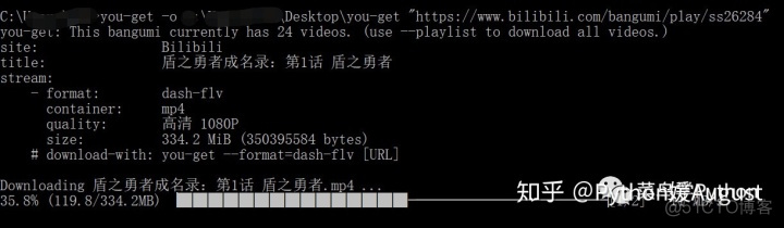 python下载优酷vip视频代码 python爬优酷视频_视频下载_09