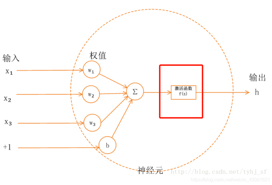 引入非线性激活函数 非线性激活层的作用_pytorch