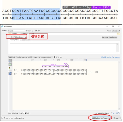 snap 制作dem snapspeed使用教程_工具栏_06