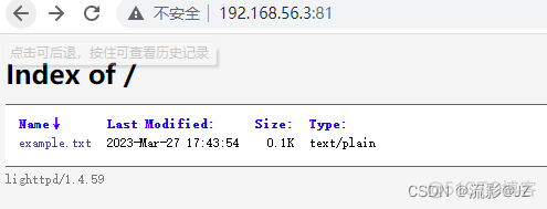 hclospf配置 hcl配置ip地址_Server_11