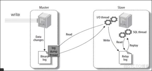 mysql主从配置恢复默认状态 mysql主从启动步骤_mysql主从配置恢复默认状态