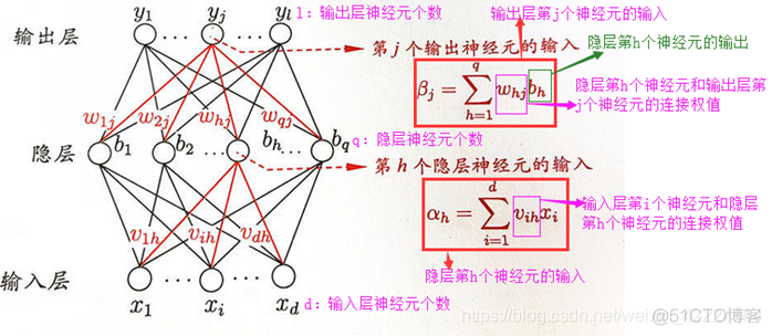 bp网络和cnn的区别 bp与cnn的区别_权重_19