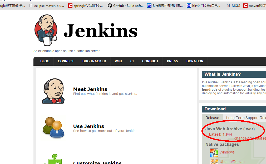 Jenkins 部署 RuoYi jenkins 部署springmvc项目 发war包,Jenkins 部署 RuoYi jenkins 部署springmvc项目 发war包_运维,第1张