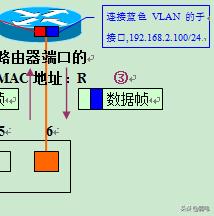 tplink vlan互通 tplink划分vlan互访_IP_09