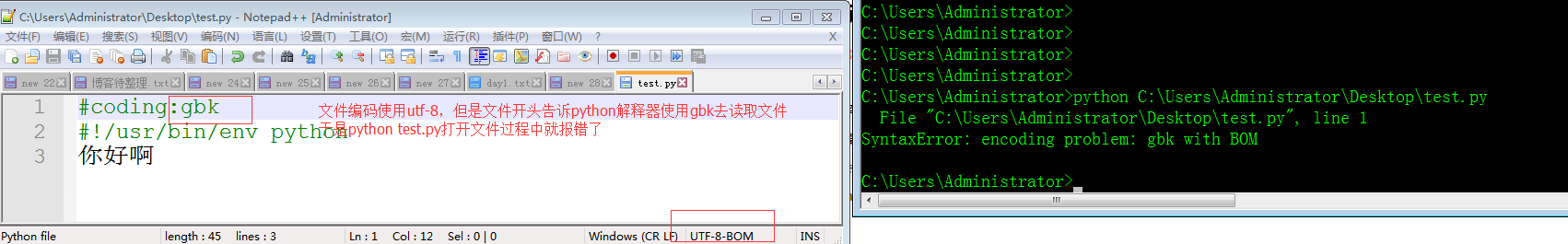 python loads怎么指定编码 python文件指定编码_开发工具_02