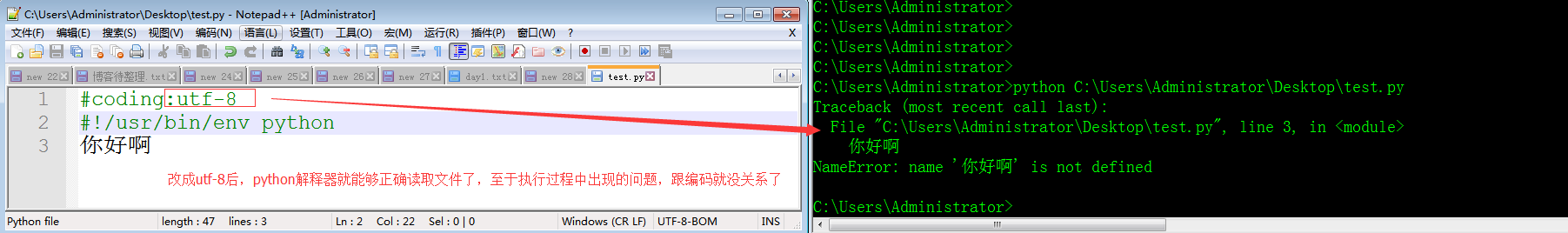 python loads怎么指定编码 python文件指定编码_运维_03