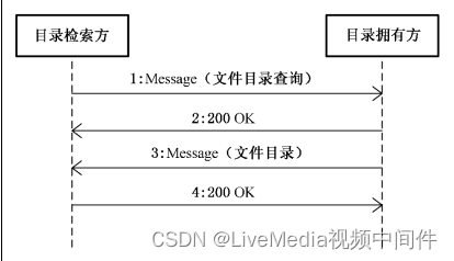 监控文件读取记录 监控录像文件_抓包