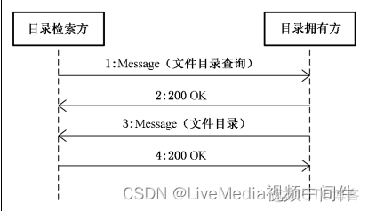 监控文件读取记录 监控录像文件_抓包