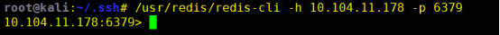 kali redis 操作命令 kali redis未授权_运维_04