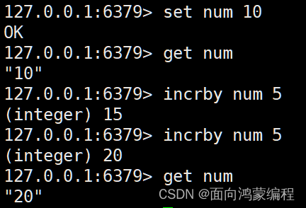 redisTemplate get key 模糊 redis key模糊匹配_java_13