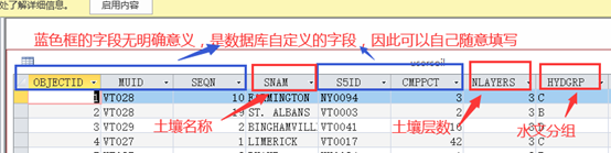 ESA土地利用 swat土地利用_图层_40