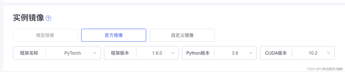 pytorch检查点 pytorch视频检测_python