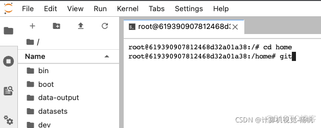 pytorch检查点 pytorch视频检测_python_02