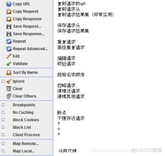 mac charles抓包软件 导致电脑无法上网 charles windows抓包教程_网络_17