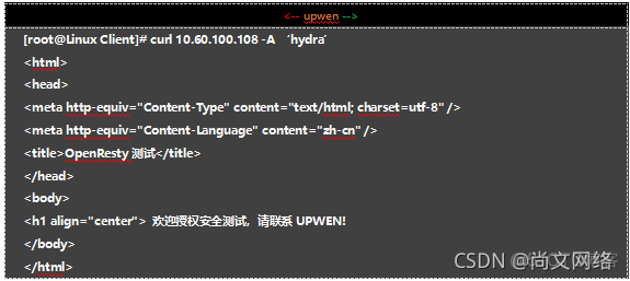 nginx 配置csrf防护 nginx 防cc_Nginx_17