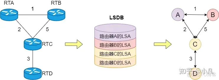 启动ospf进程命令 ospf启动过程_网络_06