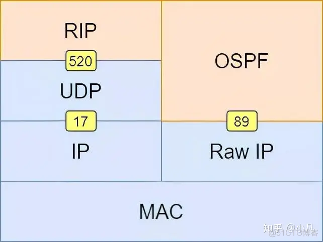 启动ospf进程命令 ospf启动过程_OSPF_07