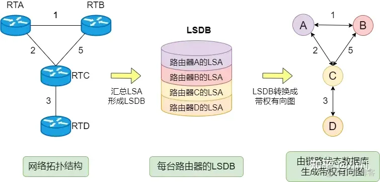 启动ospf进程命令 ospf启动过程_链路_21