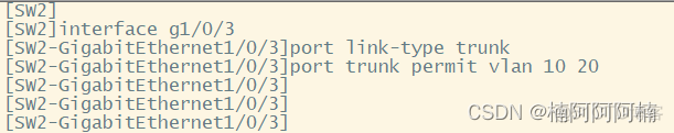 trunk要禁用vlan1 trunk允许vlan1吗_新版本_09