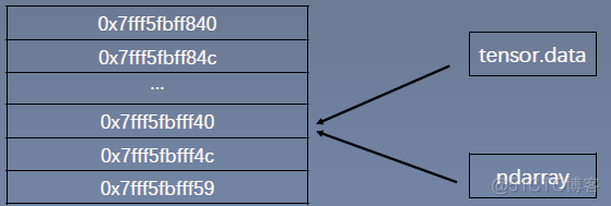 pytorch张量和标量相乘 pytorch中的张量_标量_06