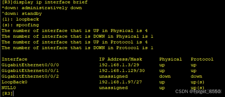 ospf还会环路嘛 ospf环路问题_链路_20