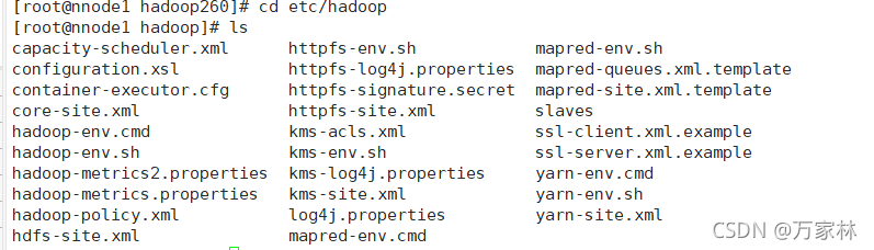 Hadoop的配置文件找不到是怎么回事 hadoop单机配置找不到文件夹_hdfs_08