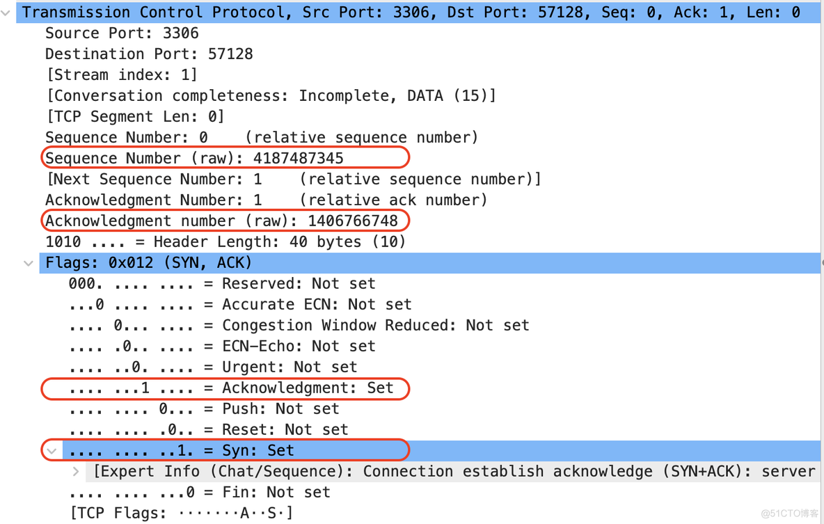 wireshark中TCP报文格式 wireshark中tcp报文分析_wireshark_15