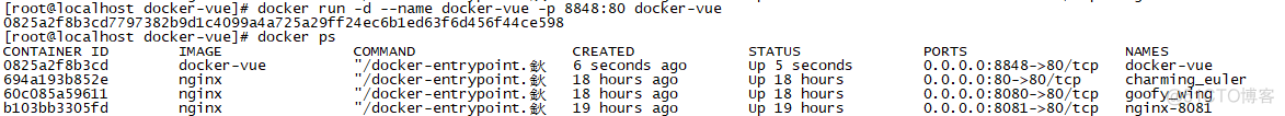 docker部署前端后怎么查看nginx是否成功 docker nginx部署前端项目_nginx_09